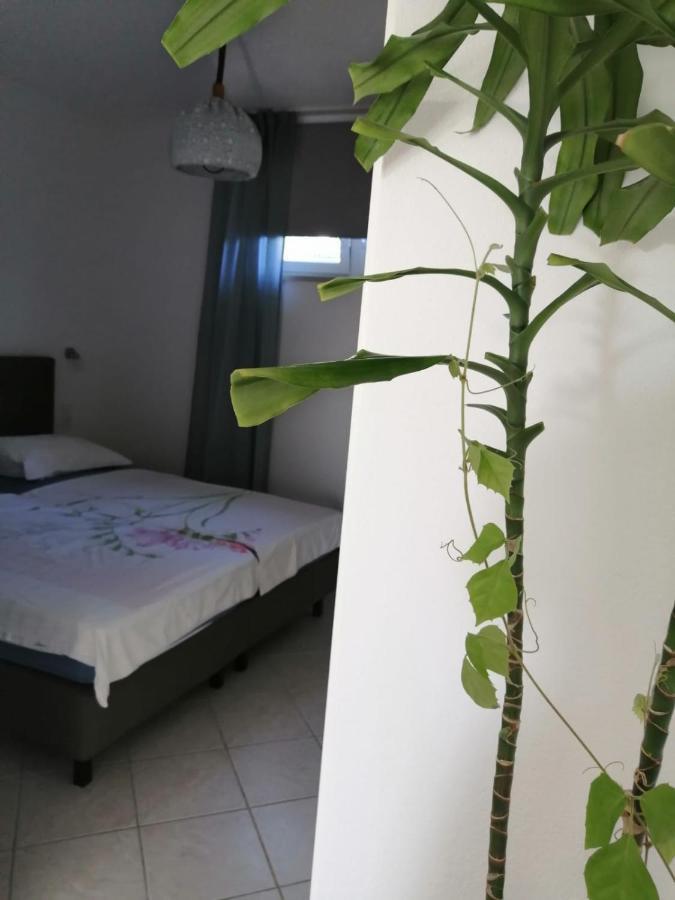 Kuca Moni Apartment Медулин Екстериор снимка